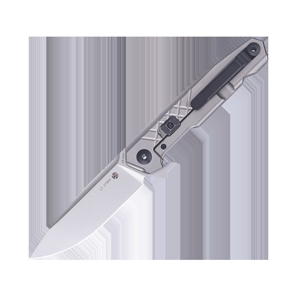 Ніж складаний туристичний Ruike M875-TZ, (8.9 см) N690Co / TC4 (титан) сірий