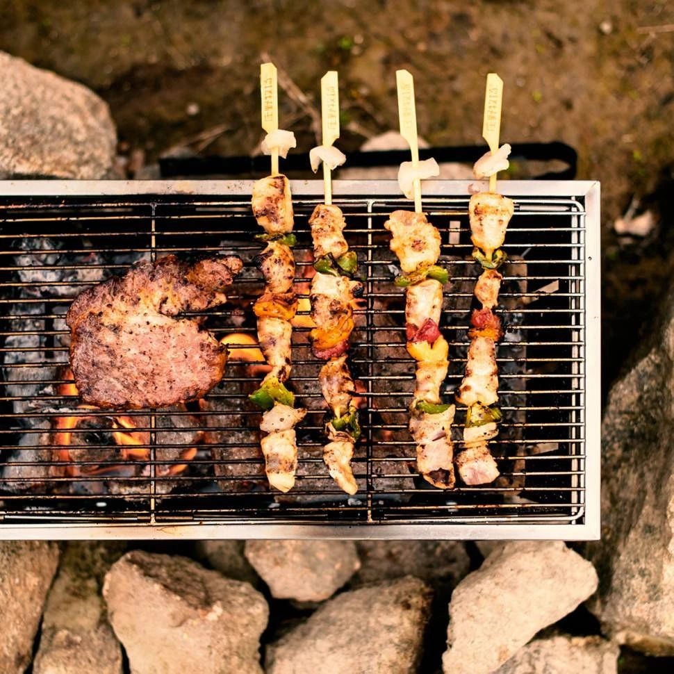 Гриль портативний Naturehike Picnic BBQ Grill NH20CJ006, р-р L, сталь, фото 7